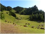 Tinčkova koča - Dom na Zelenici